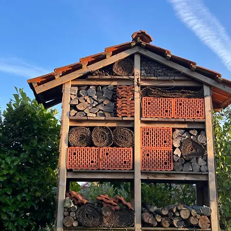 Dorfblick-emsland * Rhede (Lower-Saxony)